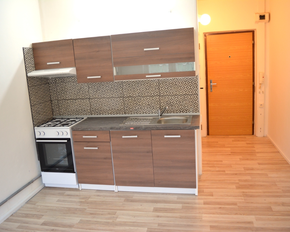 Prodáno byt 1+1 Kraslice