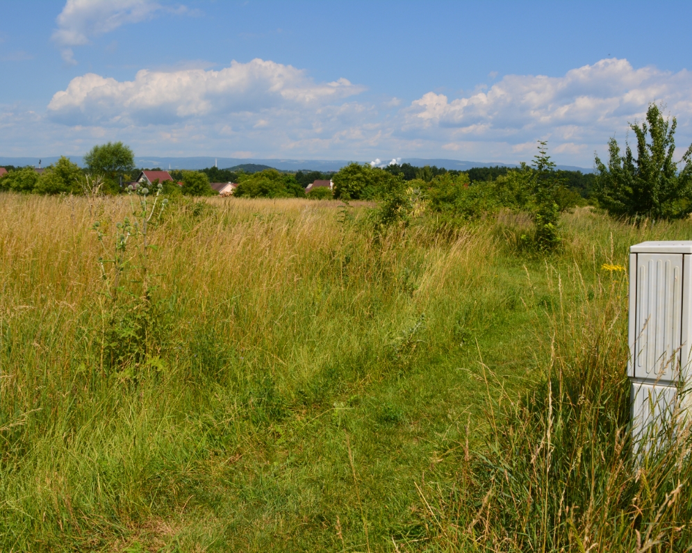 Prodáno pozemek Chbany Vadkovice