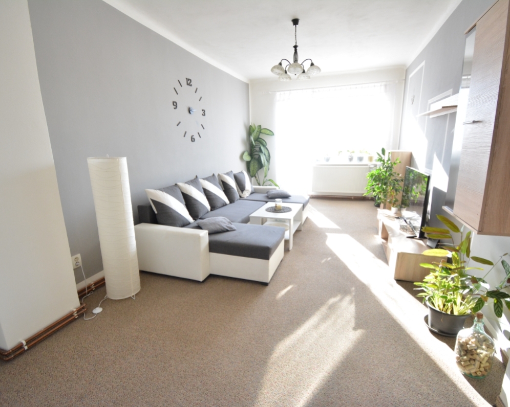 Prodáno byt 3+1 Toužim