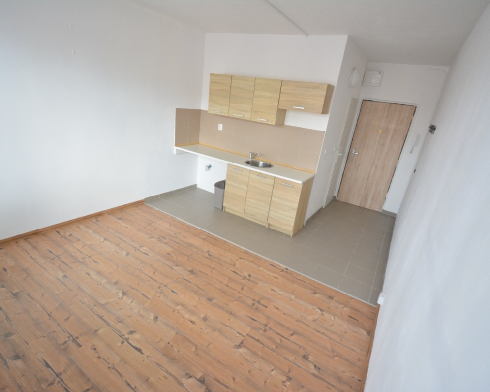 Prodáno byt 1+kk Nové Sedlo