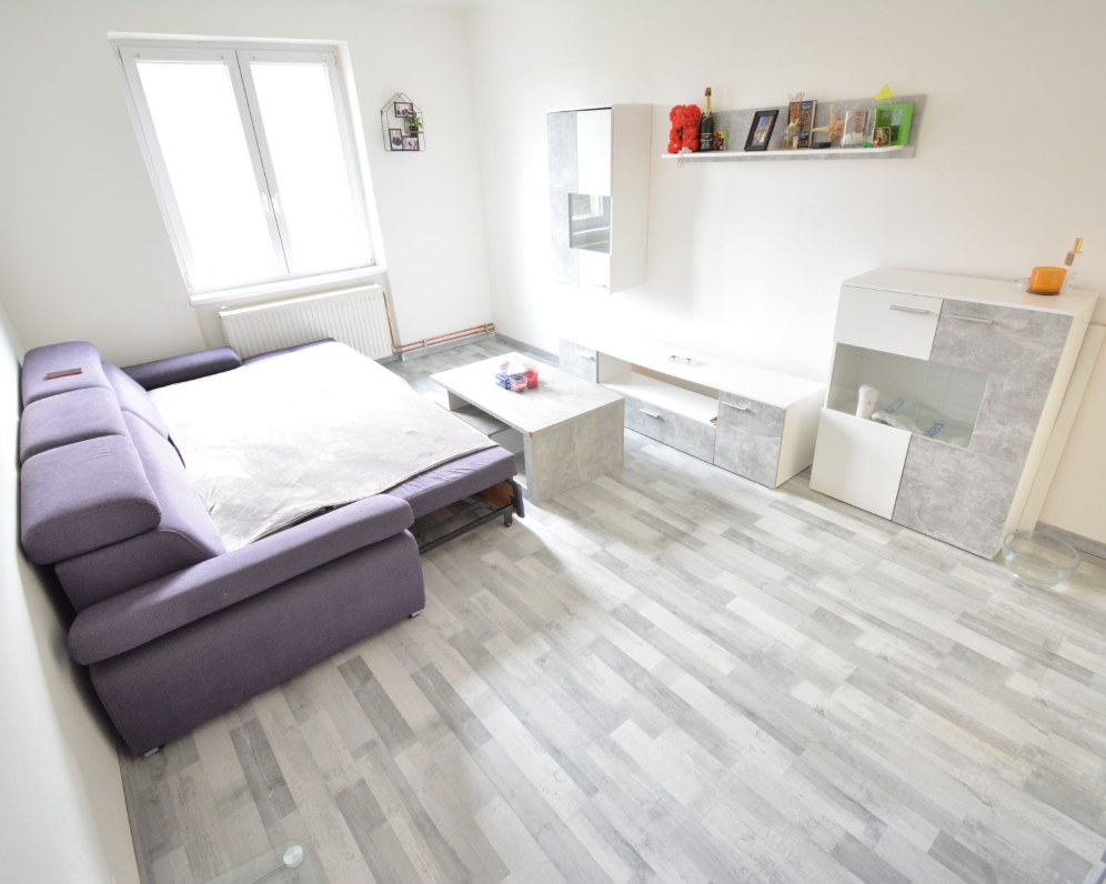 Nájem byt 3+1 Krásné Údolí